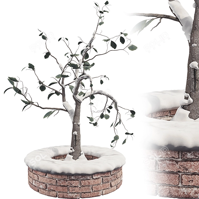 Winter Wonderland Outdoor Plant Set 3D model image 1