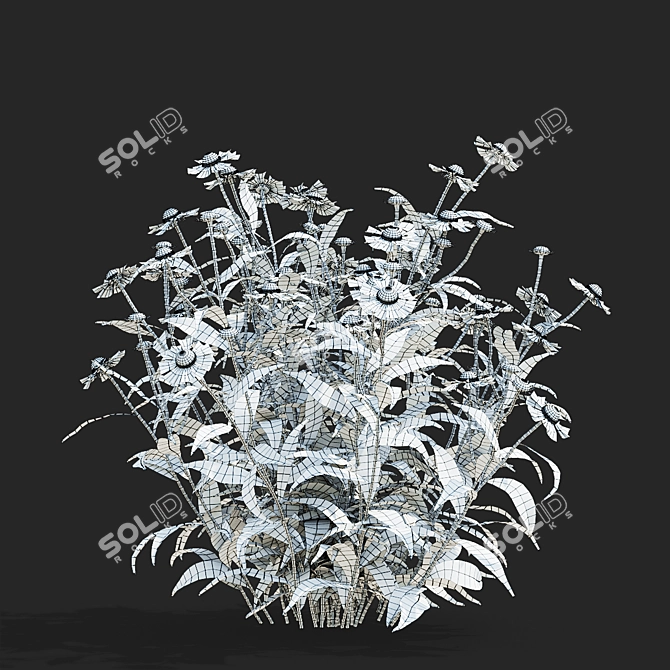 Hybrid Helenium Flower Collection 3D model image 7