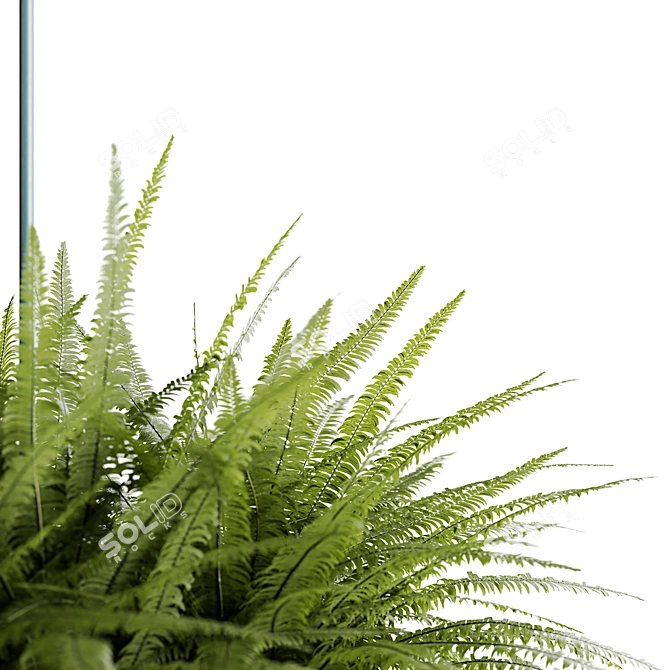 Fern Dots Planter Lamp 3D model image 3