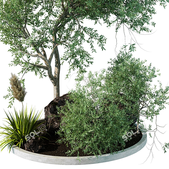 Stylish Outdoor Plant 3D Model 3D model image 2