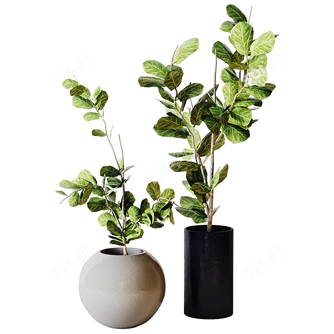 Modern Minimalist Interior Plant 07 3D model image 1