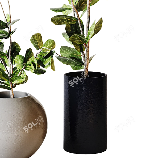 Modern Minimalist Interior Plant 07 3D model image 3