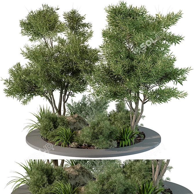 Outdoor Plant 2015 Growth Bundle 3D model image 1