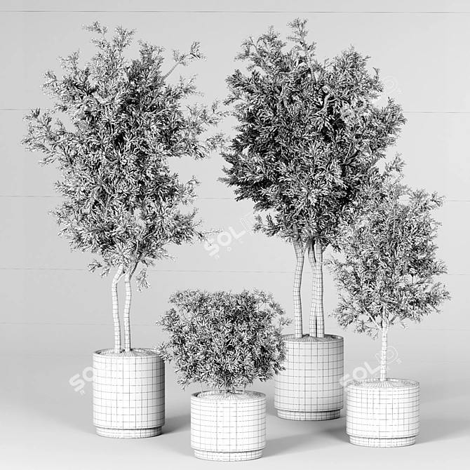 12 Indoor Plants Collection - 3D Model 3D model image 4