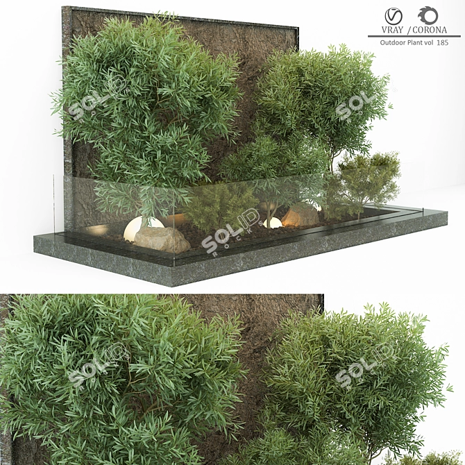 Greenery Indoor Plant Collection 3D model image 2