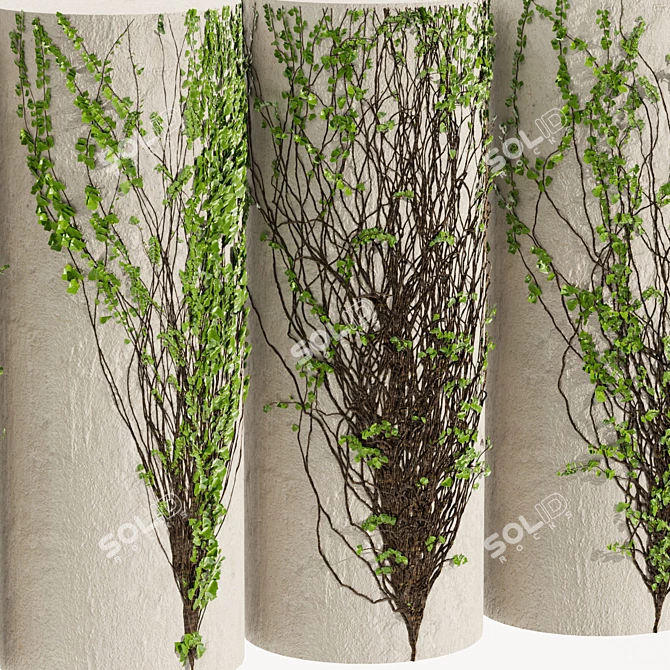 Outdoor Hedera Ivy 3D Plant 3D model image 3