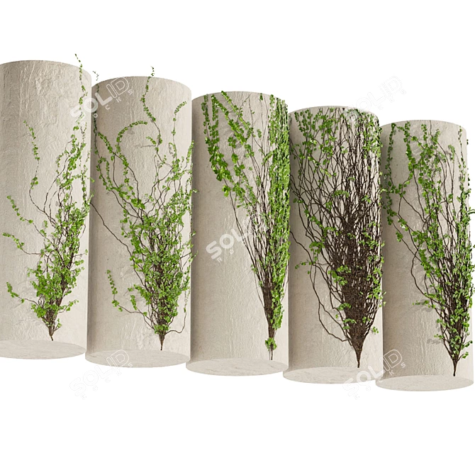 Outdoor Hedera Ivy 3D Plant 3D model image 4