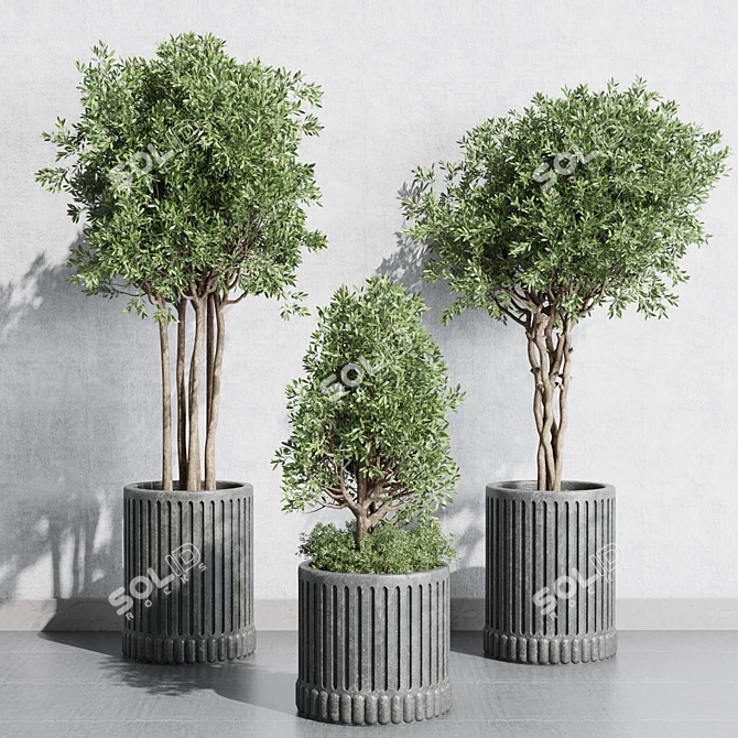 Concrete Vase Plant Collection 3D 3D model image 2