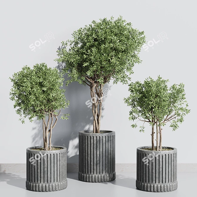 Concrete Vase Plant Collection 3D 3D model image 3