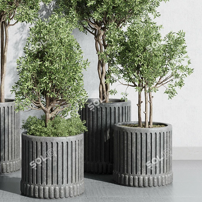 Concrete Vase Plant Collection 3D 3D model image 6