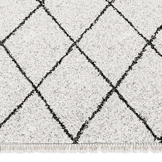 Berber Style Jiraya Rug White/Black 3D model image 4