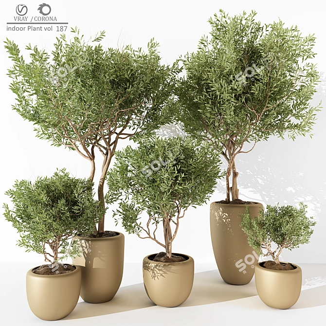 2015 Indoor Plant 187 Model 3D model image 1