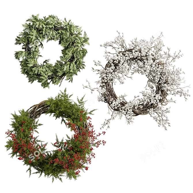 Variety Wreath Set Trio 3D model image 1