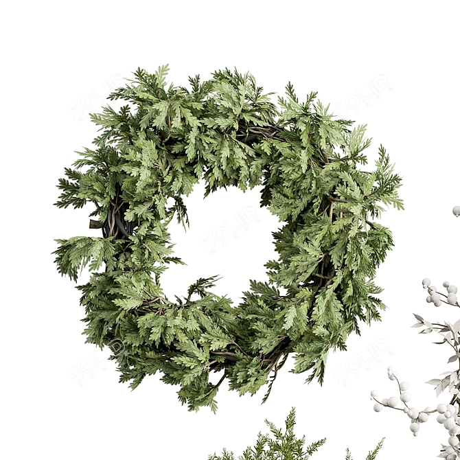 Variety Wreath Set Trio 3D model image 4