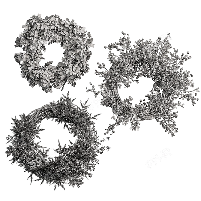 Variety Wreath Set Trio 3D model image 5