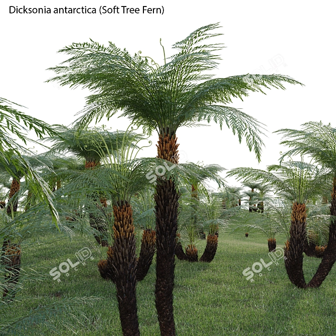Versatile 3D Plant Models Pack 3D model image 2