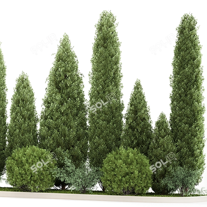 Title: Topiary Collection for Urban Landscaping 3D model image 4