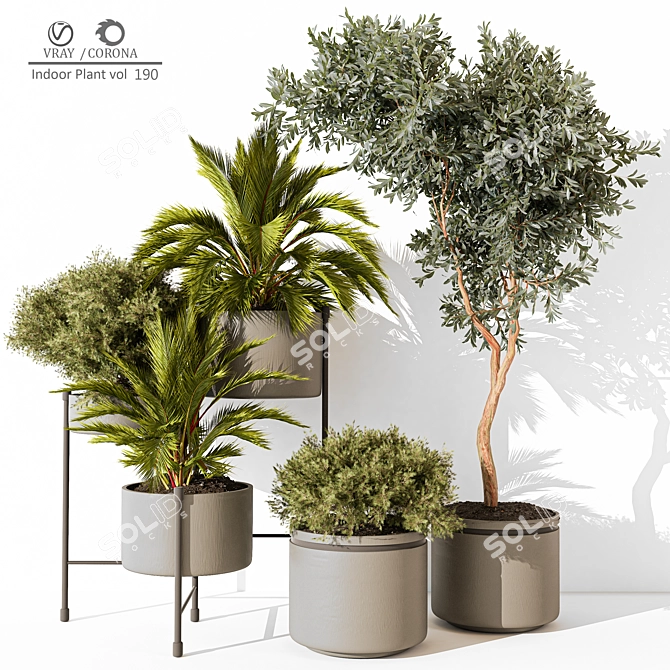 Versatile 3D Indoor Plant Model 3D model image 1