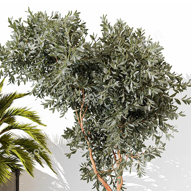 Versatile 3D Indoor Plant Model 3D model image 3