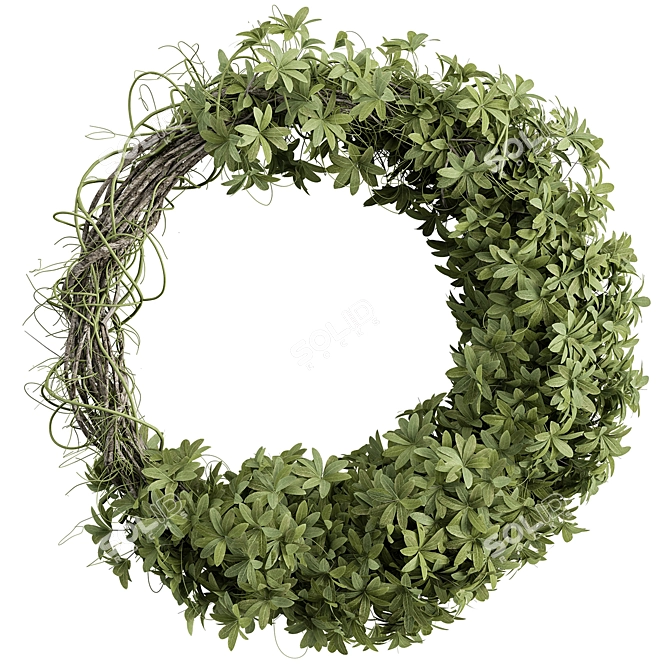 Box Leaf Wreath Set 12 3D model image 1