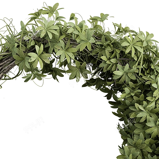 Box Leaf Wreath Set 12 3D model image 2