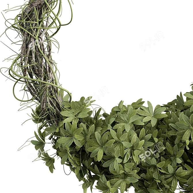 Box Leaf Wreath Set 12 3D model image 3