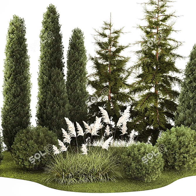 Urban Greenery Set: Cypress, Thuja, Juniper 3D model image 3