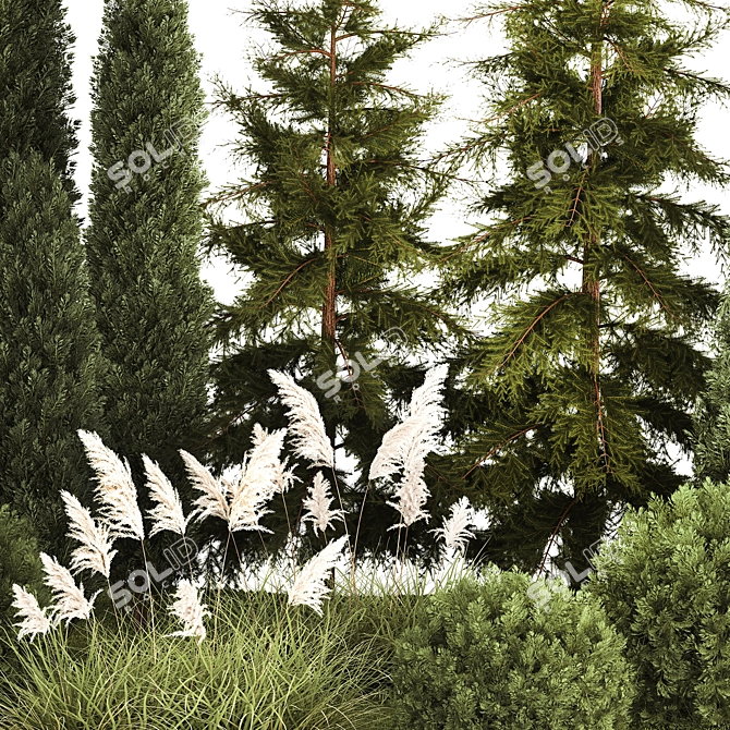 Urban Greenery Set: Cypress, Thuja, Juniper 3D model image 4