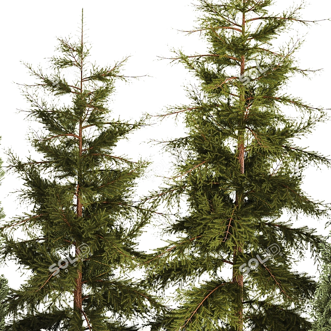 Urban Greenery Set: Cypress, Thuja, Juniper 3D model image 5