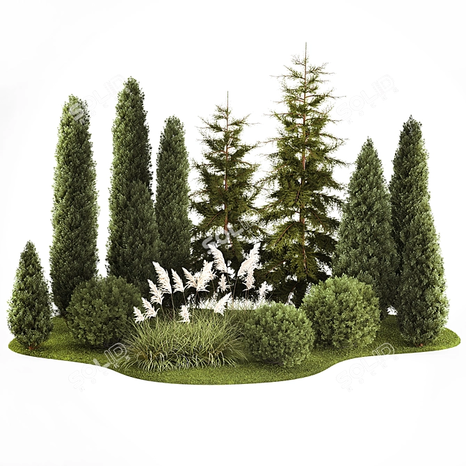 Urban Greenery Set: Cypress, Thuja, Juniper 3D model image 6