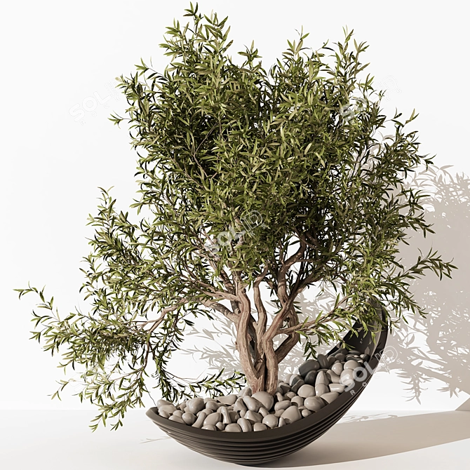 Modern Indoor Plant 195 Home 3D model image 1