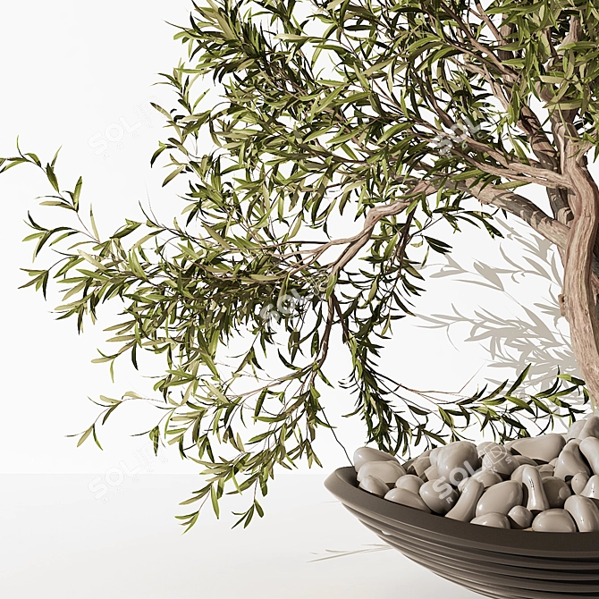 Modern Indoor Plant 195 Home 3D model image 2