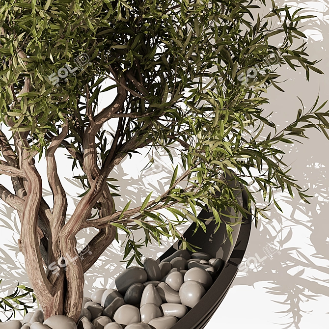 Modern Indoor Plant 195 Home 3D model image 3