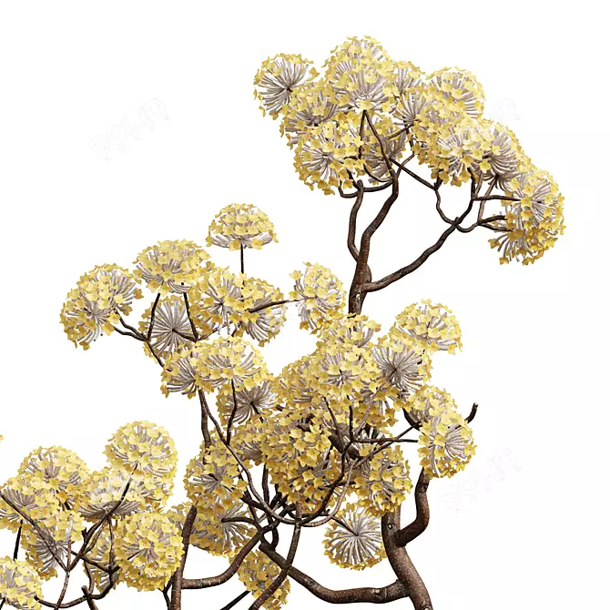Golden Paperbush 3D Tree Models 3D model image 2