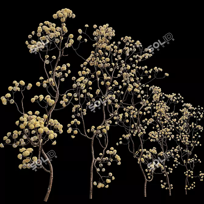 Golden Paperbush 3D Tree Models 3D model image 3
