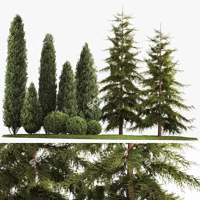 Evergreen Landscape Plant Set - 1155 3D model image 1