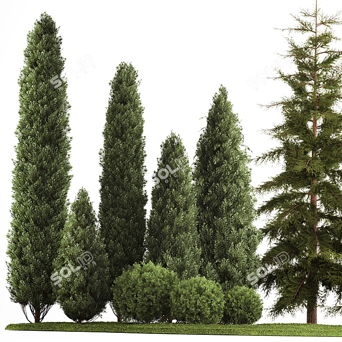 Evergreen Landscape Plant Set - 1155 3D model image 2