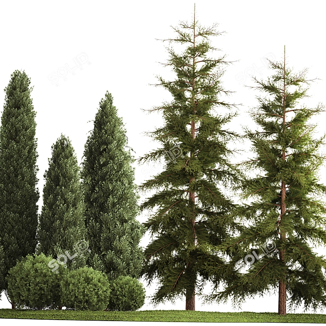 Evergreen Landscape Plant Set - 1155 3D model image 3