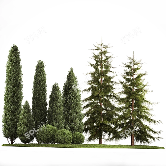 Evergreen Landscape Plant Set - 1155 3D model image 5