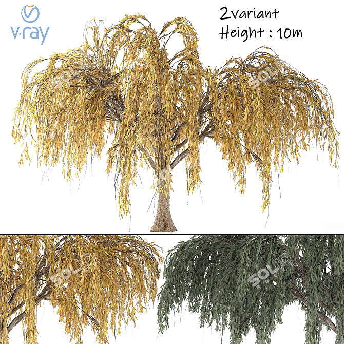 Seasonal Willow Tree Set: Summer-Autumn 3D model image 1