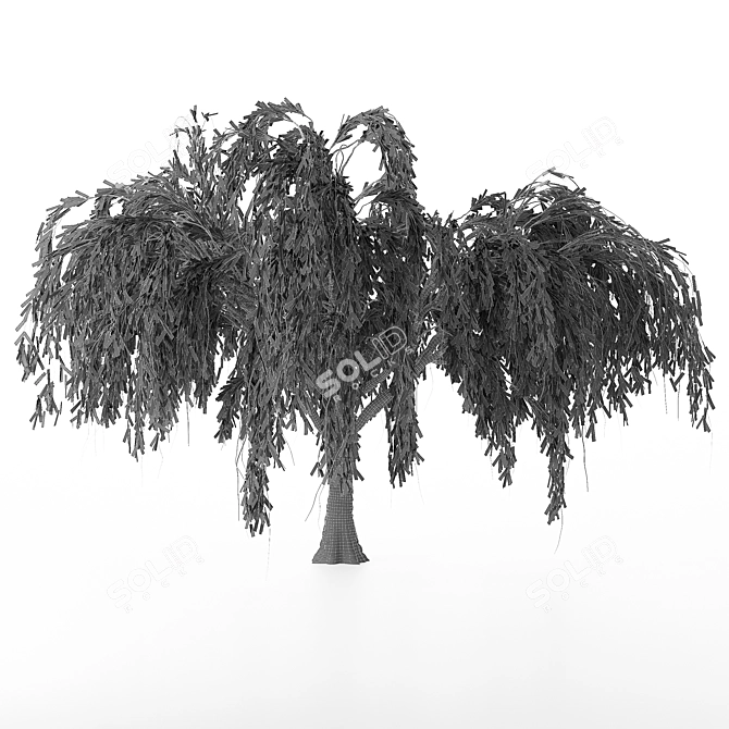 Seasonal Willow Tree Set: Summer-Autumn 3D model image 4