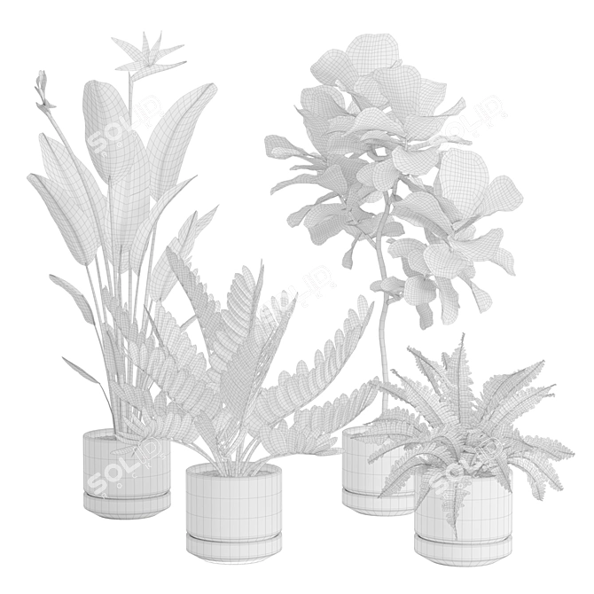 Exotic Indoor Plants Selection Pack 3D model image 2