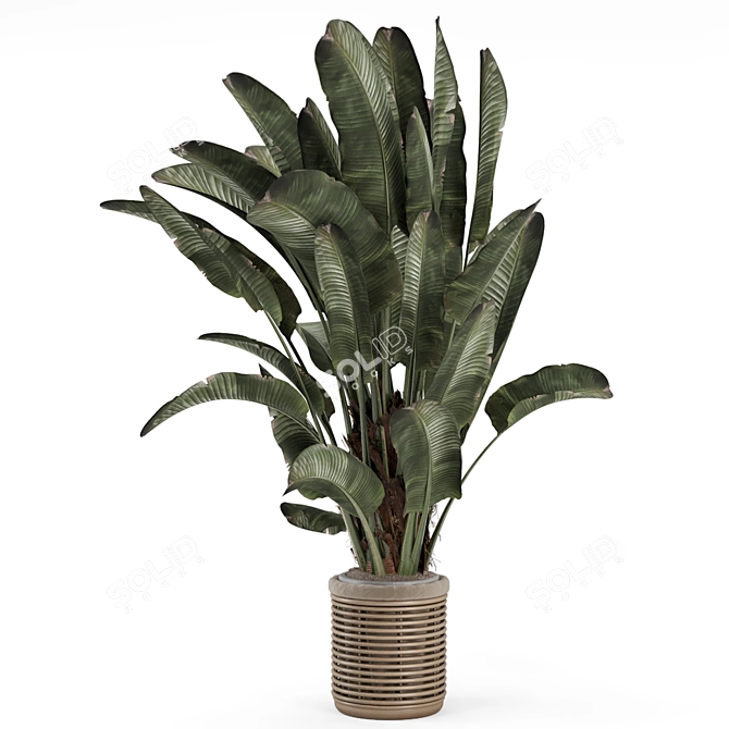 Handmade Wooden Pot Indoor Plants 3D model image 2