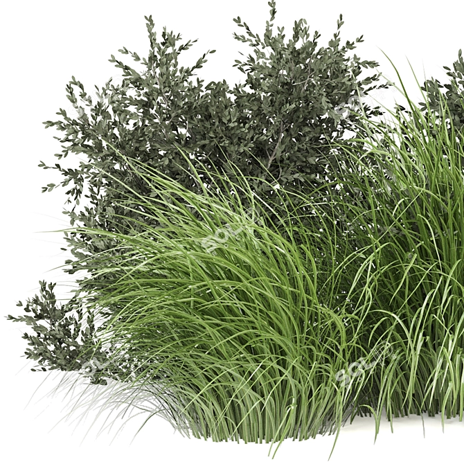 Outdoor Bush Plants Set 675 3D model image 3