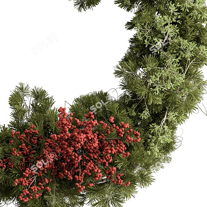 Pine & Berry Wreath Collection 3D model image 2