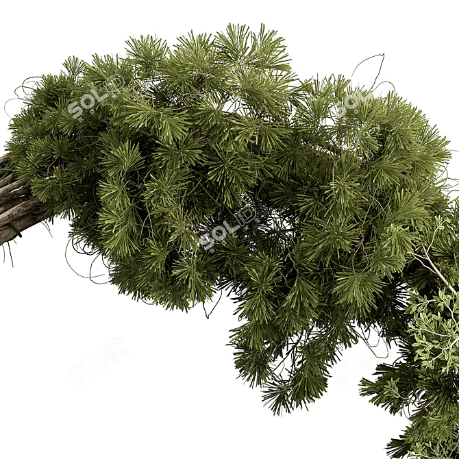 Pine & Berry Wreath Collection 3D model image 3