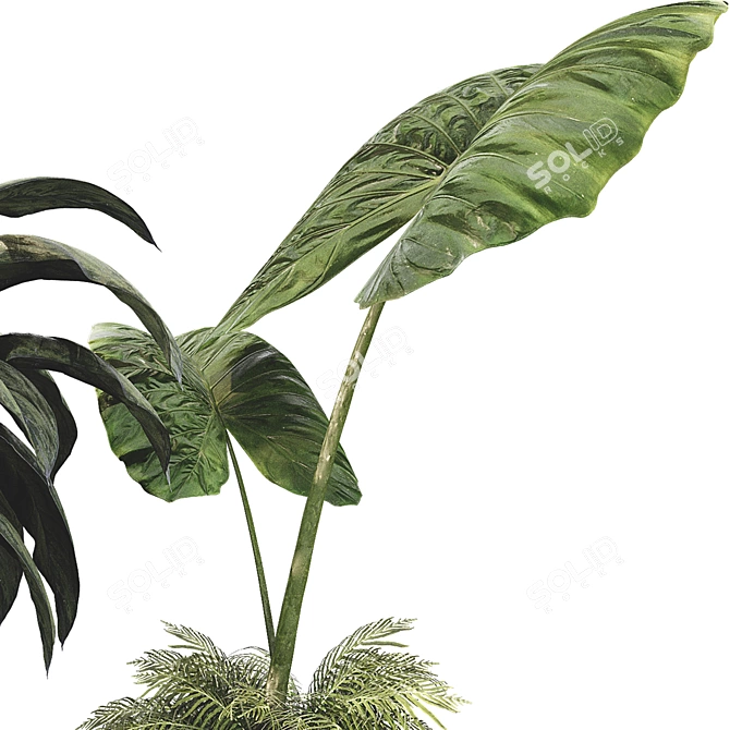 Botanical 3D Plant Set 3D model image 5