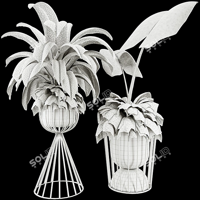 Botanical 3D Plant Set 3D model image 6