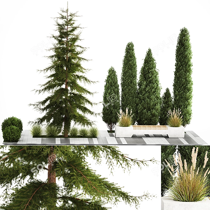 Urban Greenery Collection: Bench and Evergreens 3D model image 1