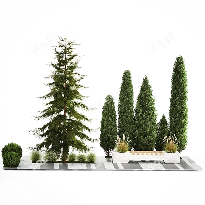 Urban Greenery Collection: Bench and Evergreens 3D model image 6